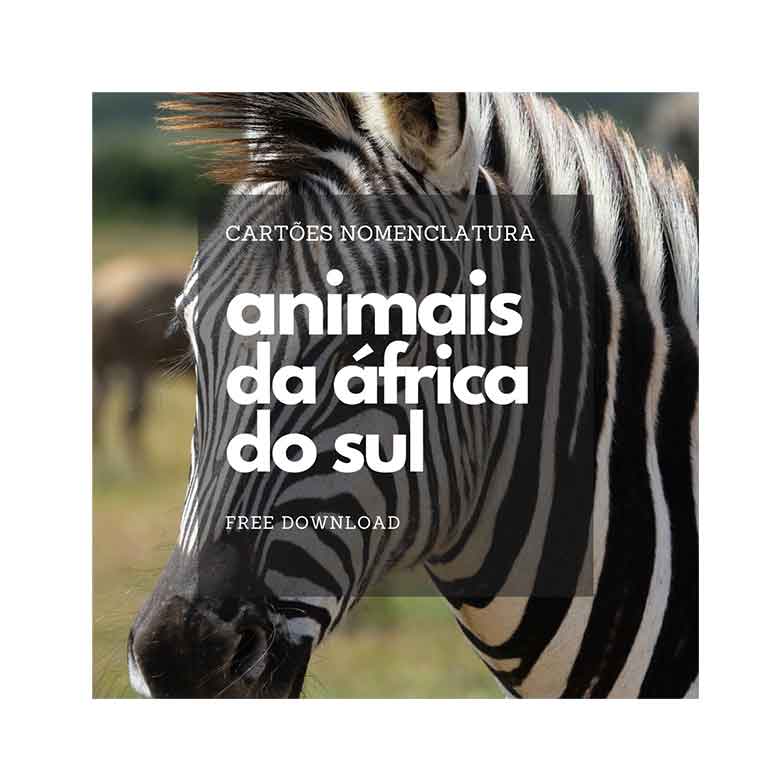 Cartões Nomenclatura Animais da África do Sul