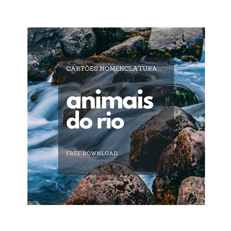 Cartões Nomenclatura Animais do Rio