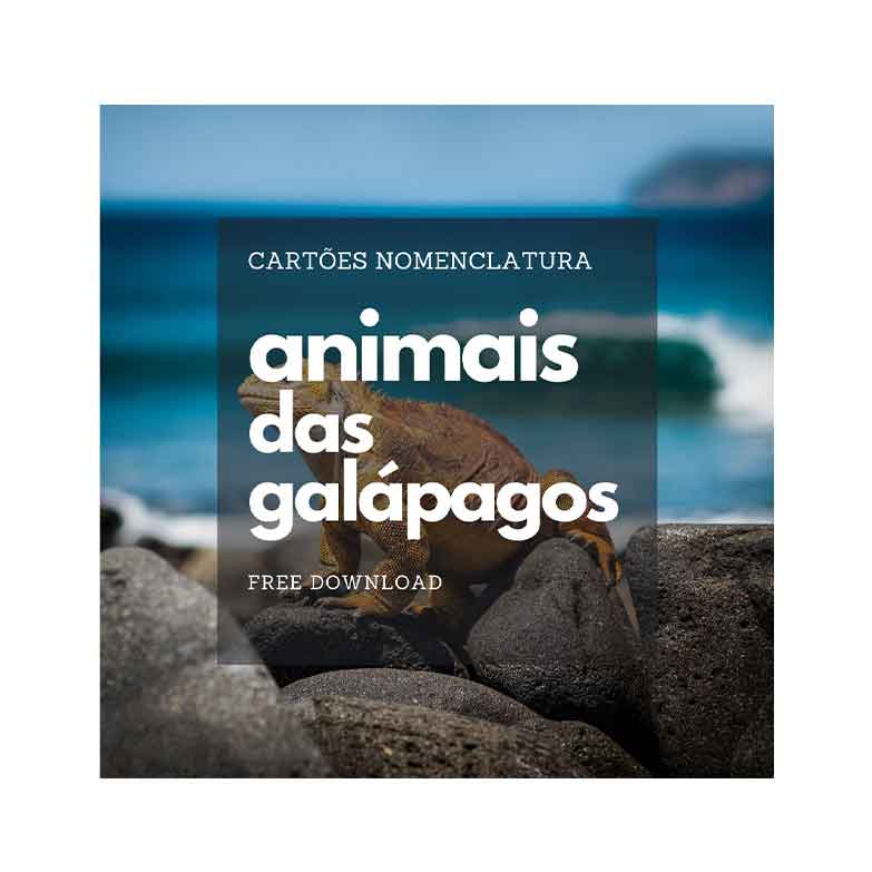 Cartões Nomenclatura Animais do Galapagos