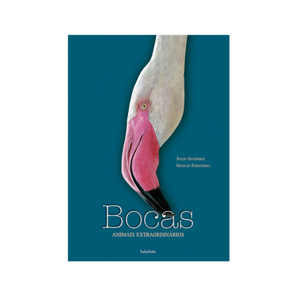 Bocas - Animais Extraordinários