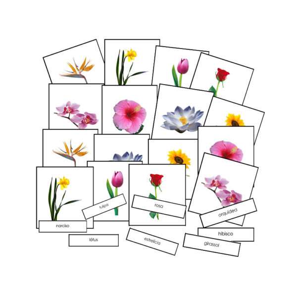 Conjunto de Flores com Cartões de Nomenclatura