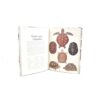 ANIMALIUM - Image 2
